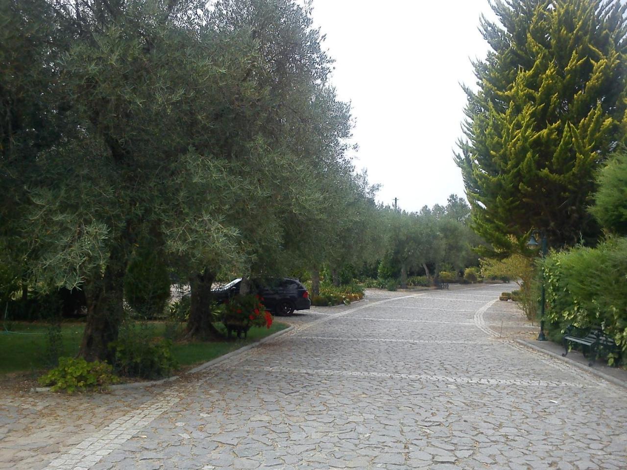 Hotel Quinta Da Telheira Vila Real Exterior foto